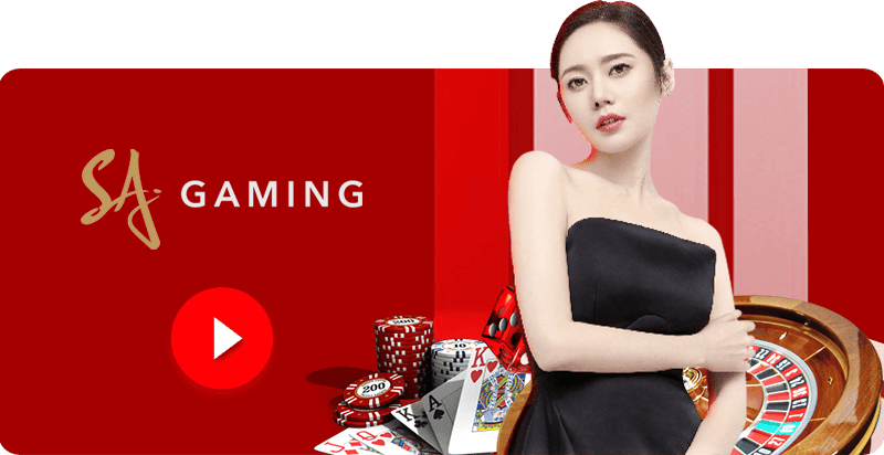 JIMMY888-Banner-ผู้ให้บริการ-allvet